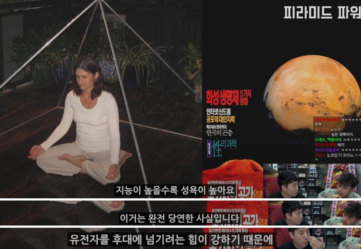 지능이 높을수록 성욕이 강하다.jpg | 인스티즈