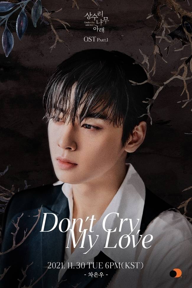 30일(화), 차은우 웹툰 '상수리나무 아래' OST 'Don't Cry, My Love' 발매 | 인스티즈
