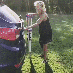 트렁크 열어주니까 바로 물에 뛰어드는 보더콜리 댕댕이.gif | 인스티즈