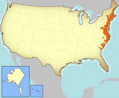 미국은 왜 천조국인가? : 한 눈에 보는 미국역사 | 인스티즈