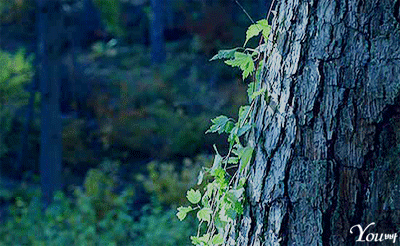 그시절 미남배우들 틈에서 이사람들 외모와 분위기에 환장했던 부류가 있었음 | 인스티즈