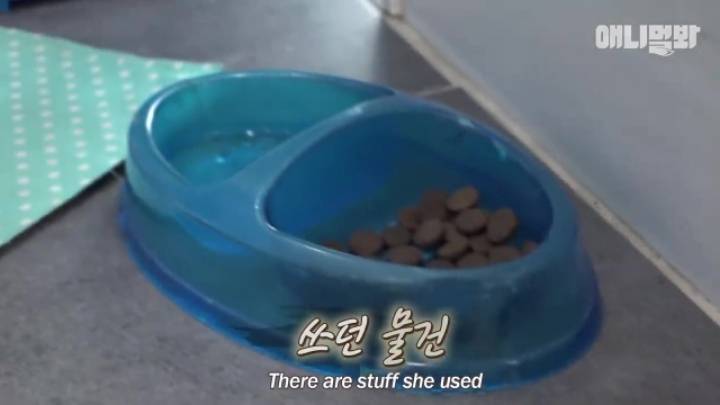 산책로 화장실에 유기된 강아지의 사연.jpg | 인스티즈