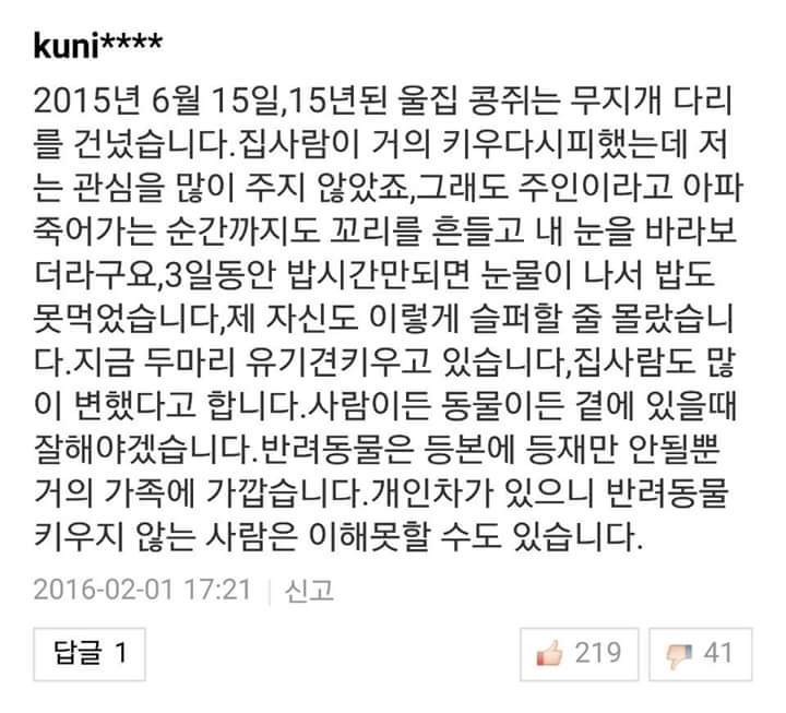 반려견들과 이별을 겪어본 사람들의 이야기 | 인스티즈