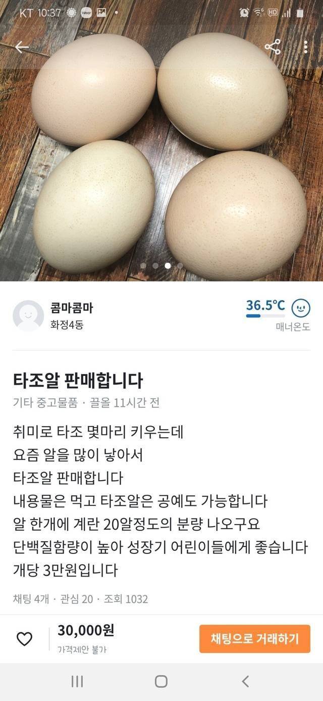 타조알도 파는 당근마켓.JPG | 인스티즈