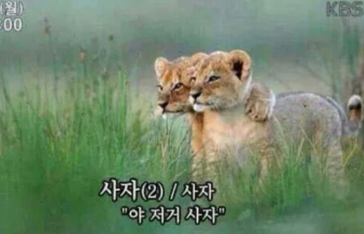 테일러 스위프트의 시그니처 립색깔 red lip | 인스티즈