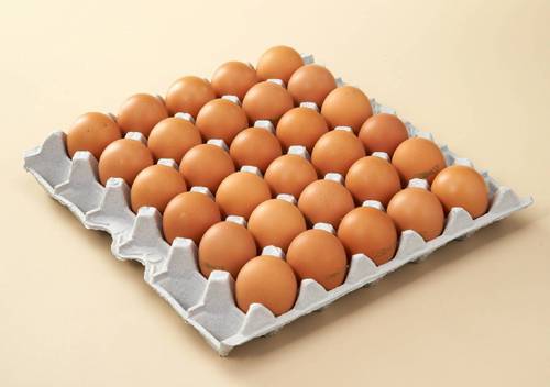 계란 최대 몇개 까지 가능? | 인스티즈