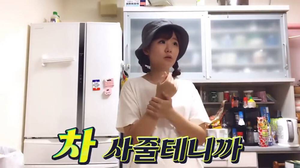 [스압주의] 일본인 캣맘 유튜버 1편 - 포크레인으로 마당 갈아엎음 | 인스티즈