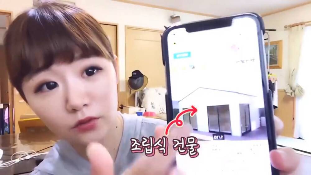 [스압주의] 일본인 캣맘 유튜버 1편 - 포크레인으로 마당 갈아엎음 | 인스티즈