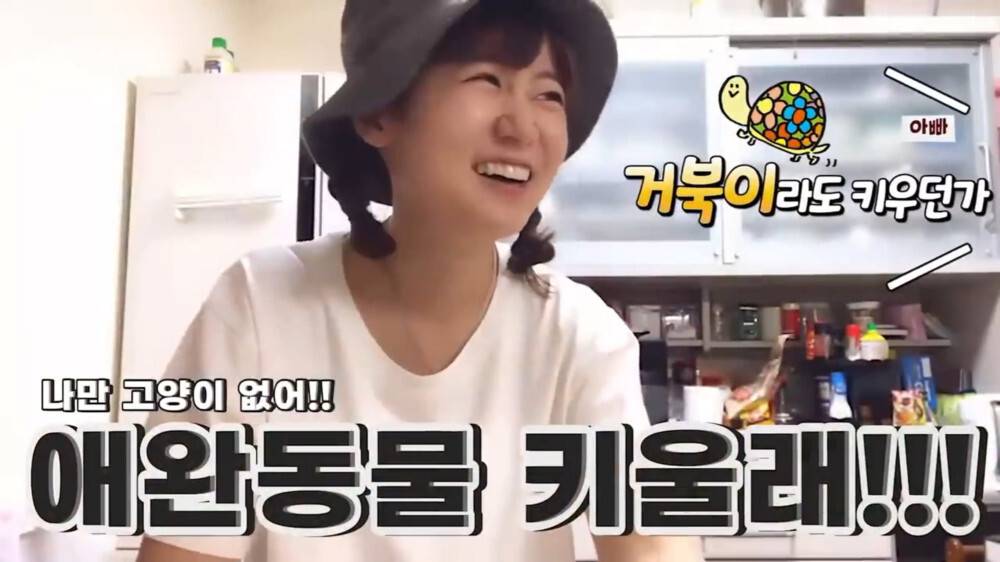 [스압주의] 일본인 캣맘 유튜버 1편 - 포크레인으로 마당 갈아엎음 | 인스티즈