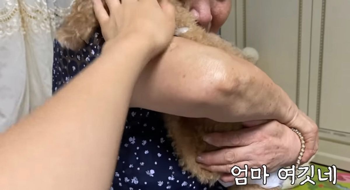 치매에 걸려 집에 가는 길 마저 잊어버린 할머니가 절대 잊지 않는 한 가지 | 인스티즈