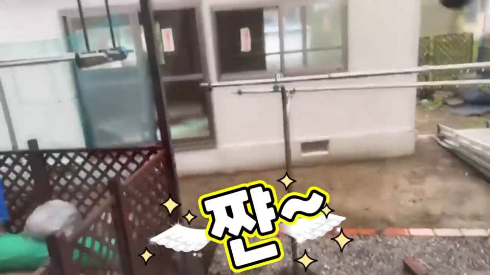 [스압주의] 일본인 캣맘 유튜버 2편 - 3천만원짜리 고양이 집 지음 | 인스티즈
