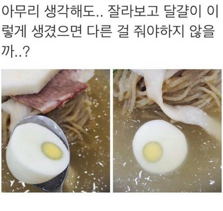 냉면집 논란의 삶은달걀.jpg | 인스티즈