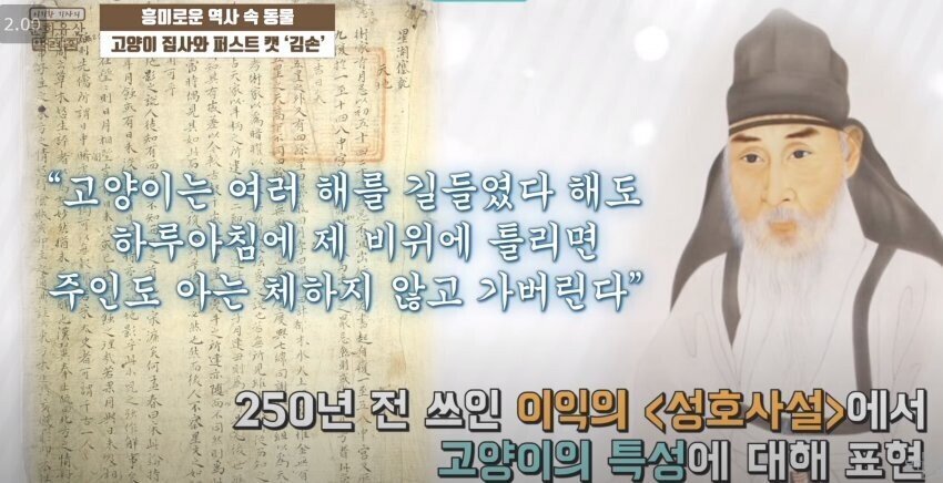 조선시대에 기록된 고양이 특성.jpg | 인스티즈