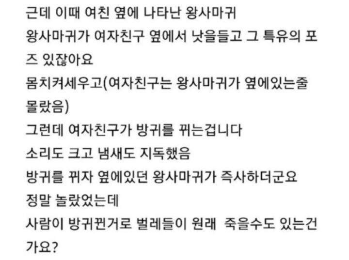 여자친구 방귀로 사마귀가 죽었어요 | 인스티즈