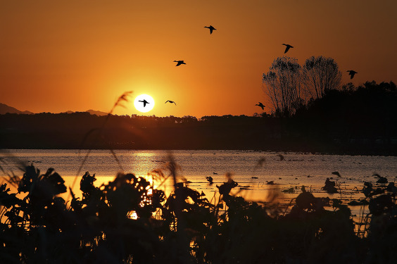 나이 들면 후회하는 37가지 | 인스티즈