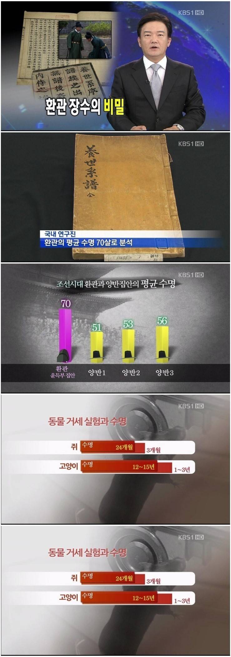 쓰지도 않을 거 버리고 오래 사는 법 | 인스티즈