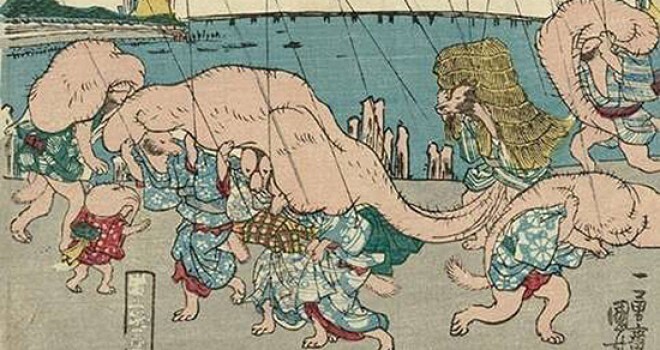 일본 미디어에 등장하는 너구리는 왜 랄부가 클까? | 인스티즈