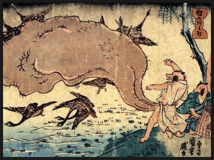 일본 미디어에 등장하는 너구리는 왜 랄부가 클까? | 인스티즈