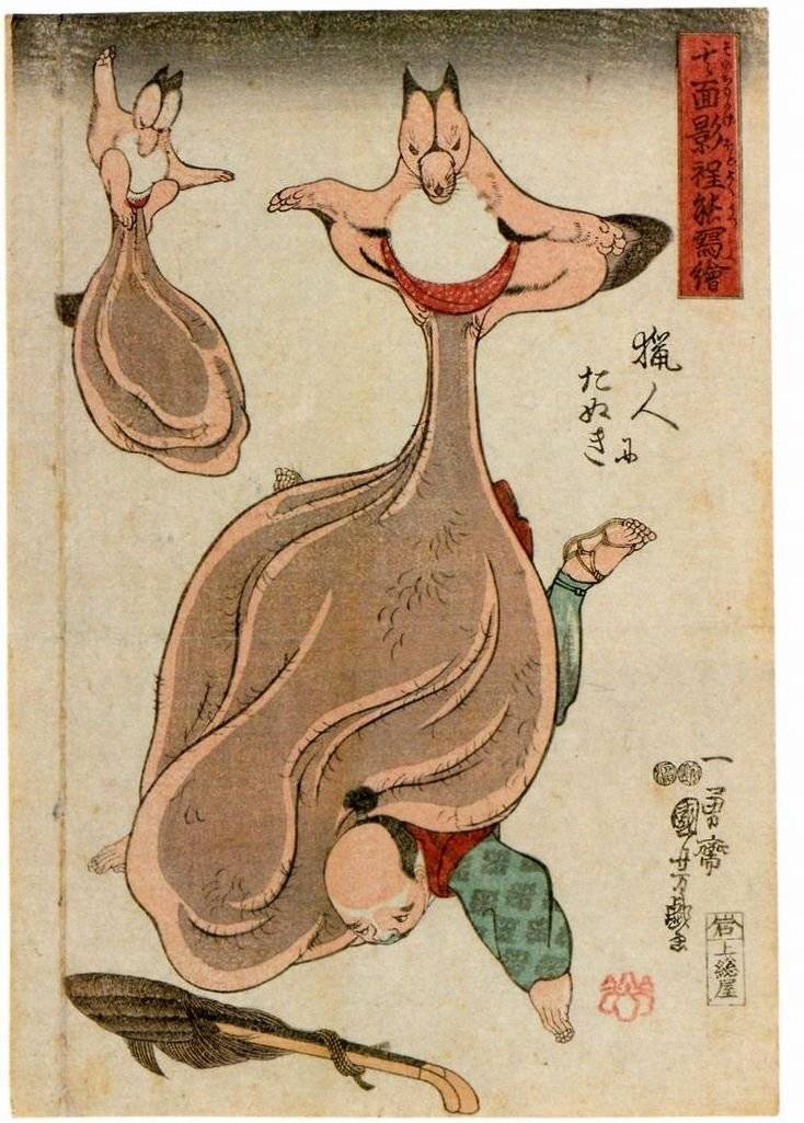 일본 미디어에 등장하는 너구리는 왜 랄부가 클까? | 인스티즈