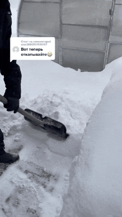 제설 방해하는 고양이 .gif | 인스티즈