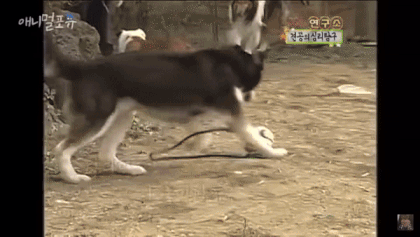 스펀지 방송 광기 시절 | 인스티즈