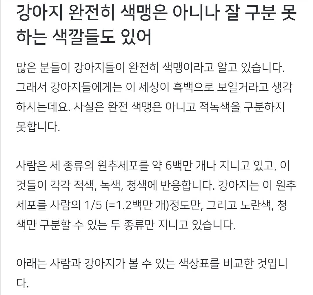 강아지는 진짜 색맹일까?🐶.jpg | 인스티즈