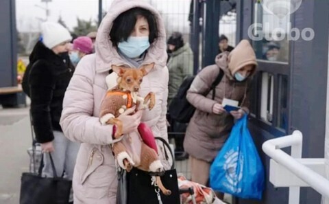피난가는 강아지, 고양이들 | 인스티즈