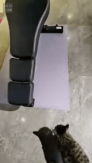 윗몸일으키기하냥 | 인스티즈