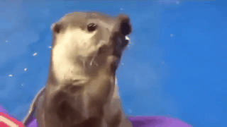 머리는 이케이케 하는거 해줘 | 인스티즈