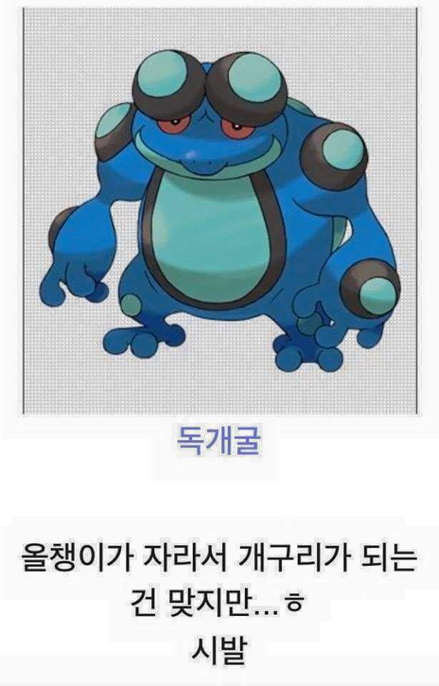 진화하면 역변하는 포켓몬들 | 인스티즈