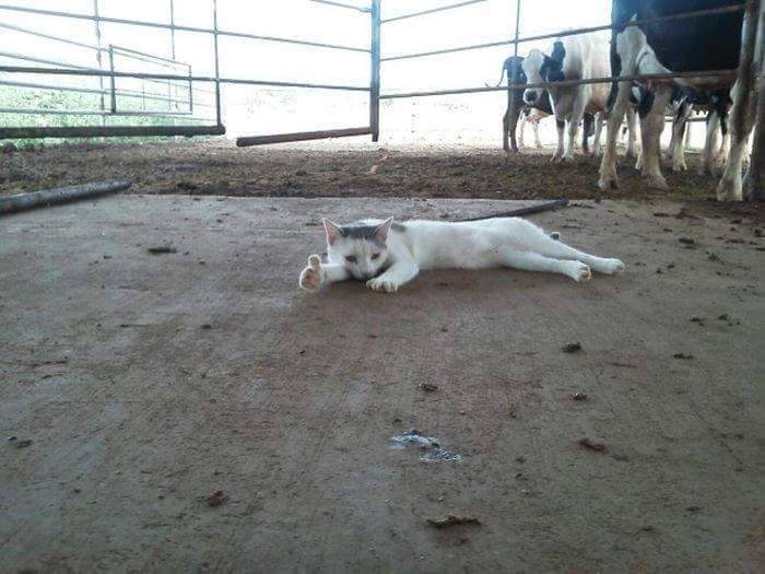 쿠&#53240;..좋은 게임이였다 닝겐 | 인스티즈