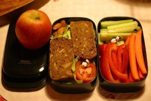 다이어터 도시락 | 인스티즈