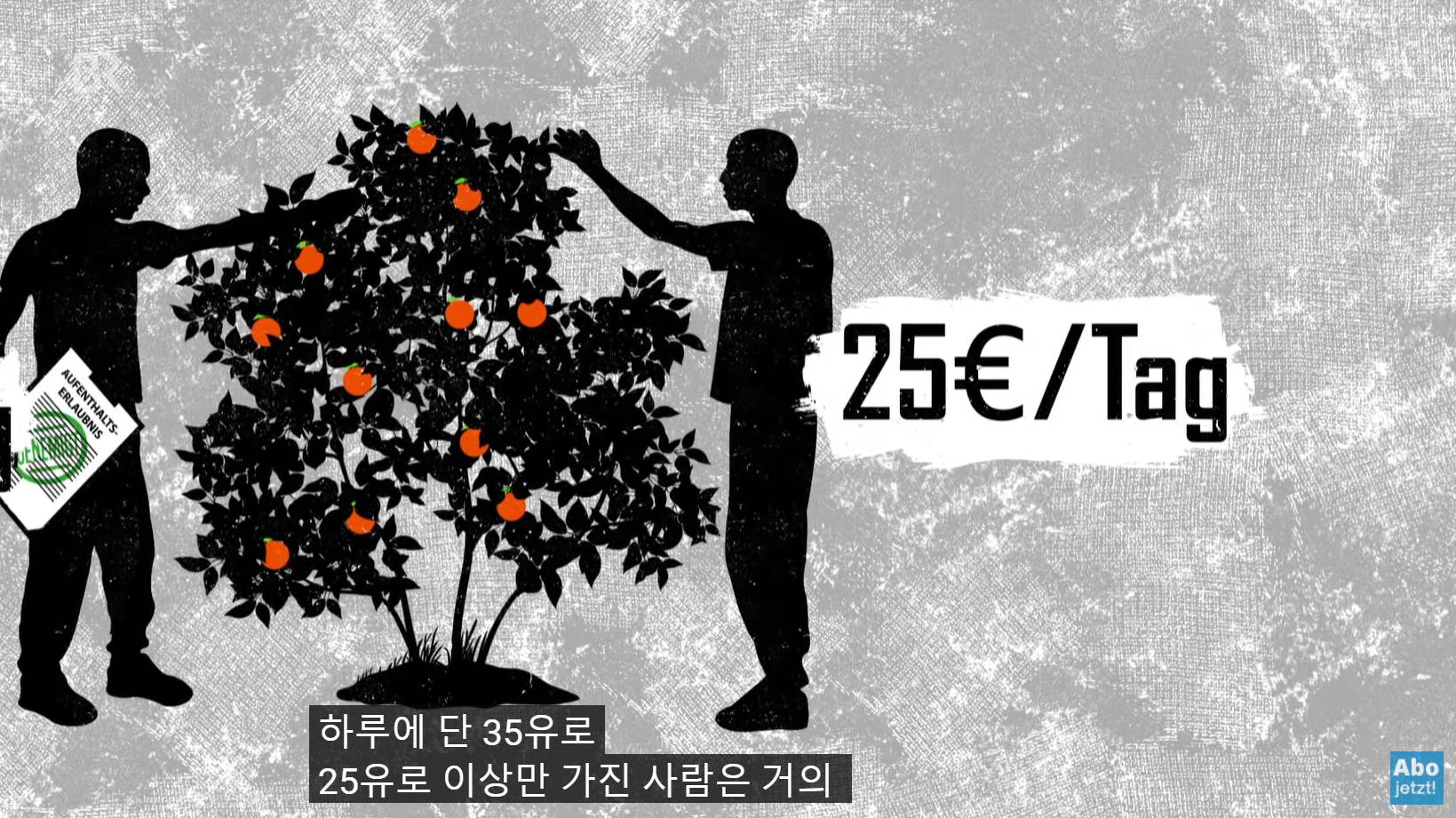 유럽 살아본 사람들은 다 그리워하는 유럽의 저렴한 과일, 채소물가 | 인스티즈