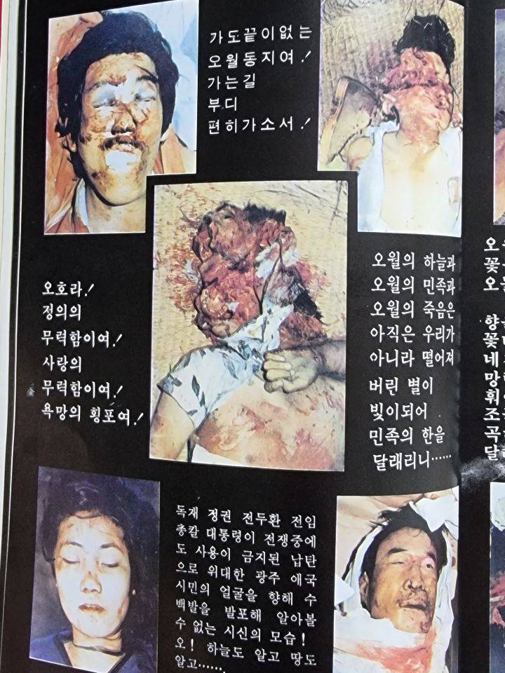 우리집에 책있거든..진짜 잔인해..(사진주의) | 인스티즈