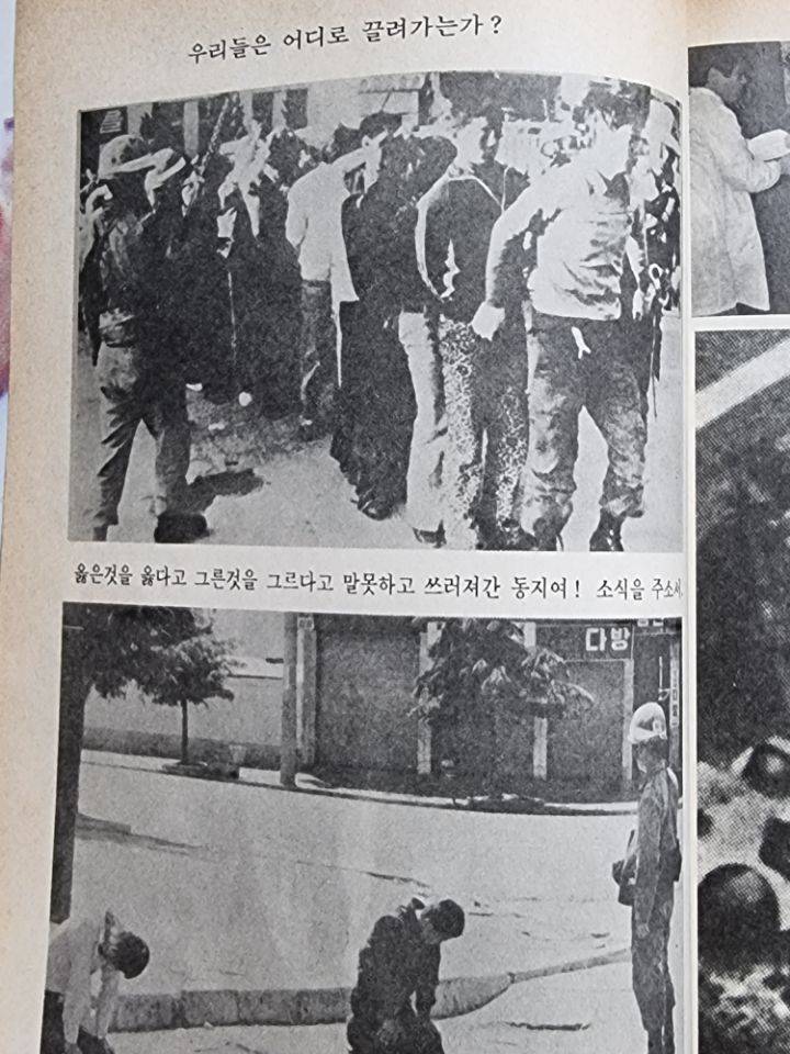 우리집에 책있거든..진짜 잔인해..(사진주의) | 인스티즈