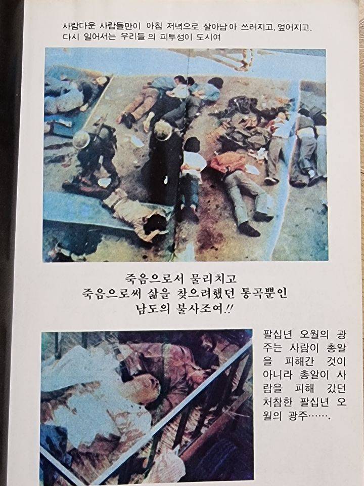 우리집에 책있거든..진짜 잔인해..(사진주의) | 인스티즈