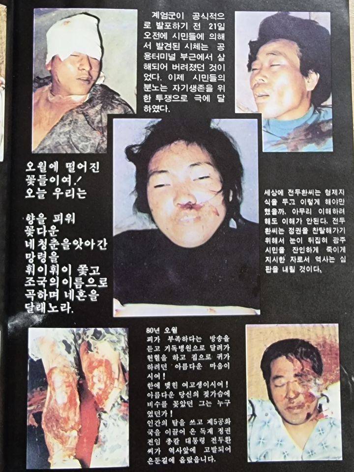 우리집에 책있거든..진짜 잔인해..(사진주의) | 인스티즈