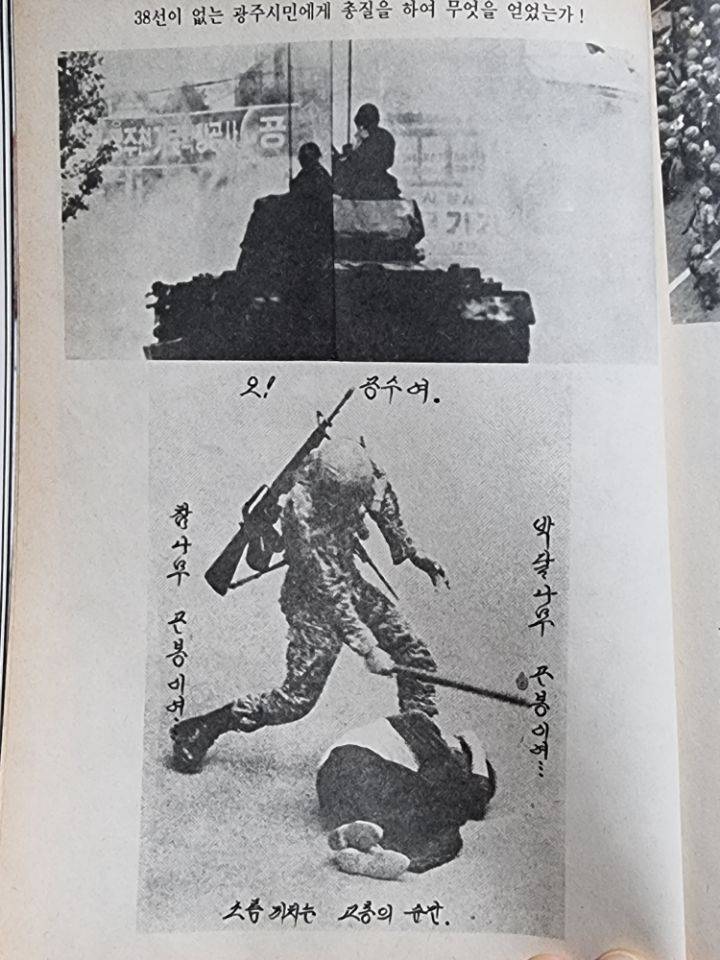 우리집에 책있거든..진짜 잔인해..(사진주의) | 인스티즈