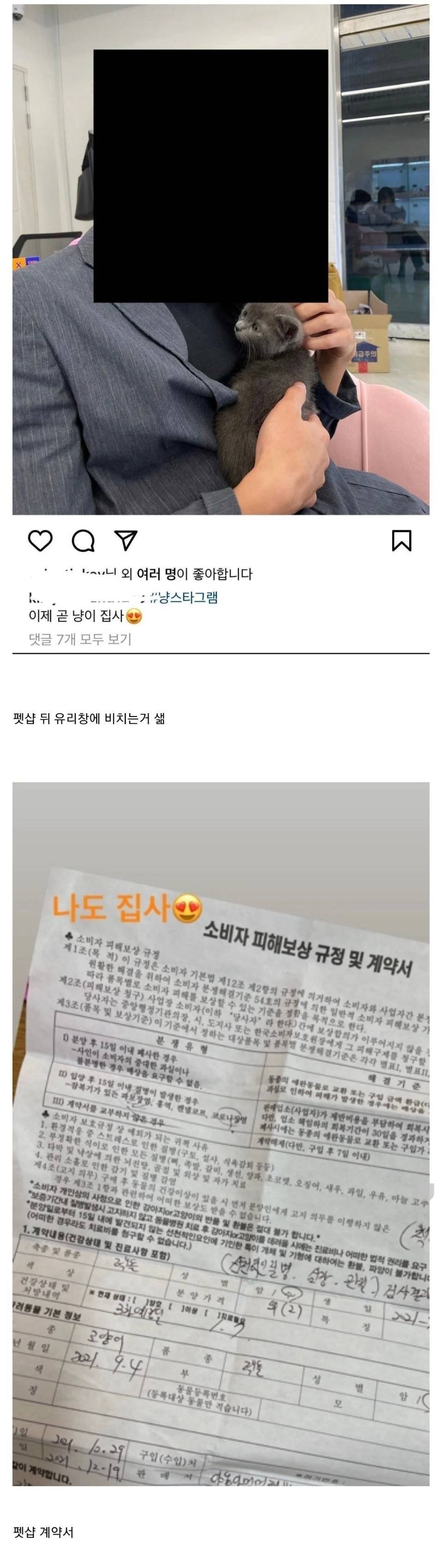 유투버 샒 어이 관련 고양이, 담배, 남친 얘기 자꾸 나오는 이유 (어이 요약정리).jpg | 인스티즈