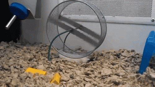 그거 그렇게 쓰는거 아니야.gif | 인스티즈