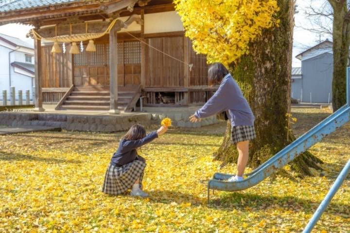 애니메이션 배경풍 사진 찍는 일본 여고생들 | 인스티즈