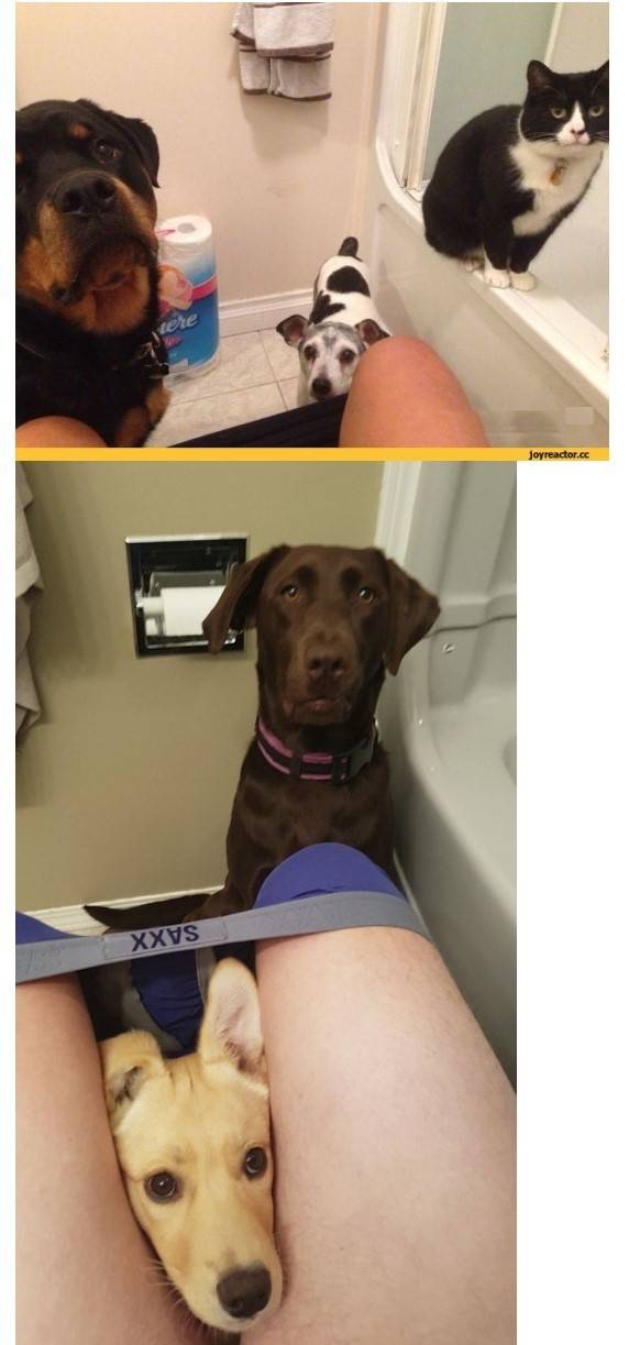 나한테 왜 그러는거야?!?!? | 인스티즈