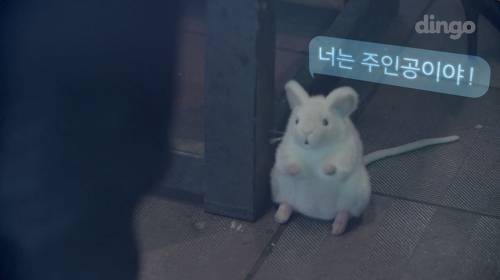 의식의 흐름대로 만든듯한 웹무비2ㅋㅋㅋ | 인스티즈