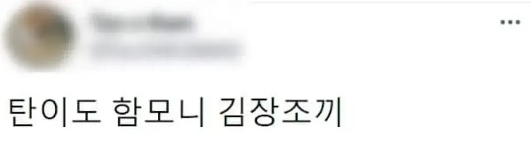 요즘 K-고양이 핫템.JPG | 인스티즈