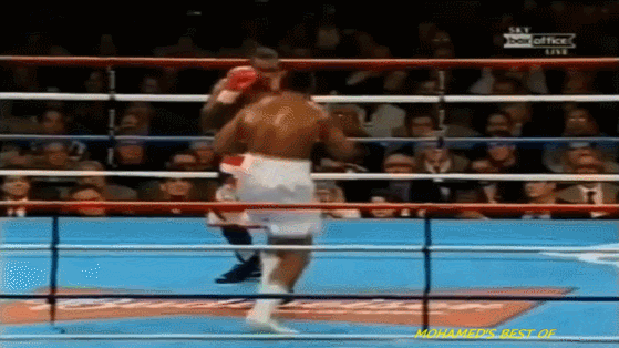 복싱 헤비급 역사상 최고의 파이터들 4명이 전성기 실력으로 붙는다면 최후의 승자는? | 인스티즈