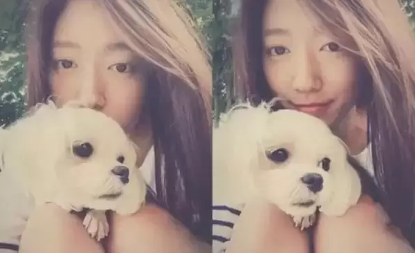 반려동물(유기견,유기묘)을 입양한 여자 연예인들 | 인스티즈