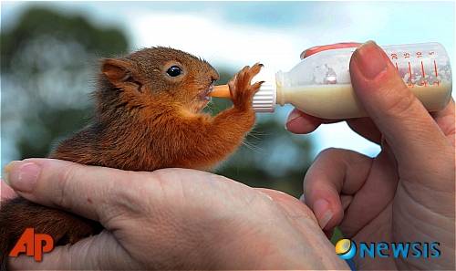 안철수씨 부친 안영모 원장 부산 범천의원 48년 이야기 | 인스티즈