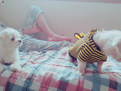 야 있다가 뭐 사달라고 할까? | 인스티즈