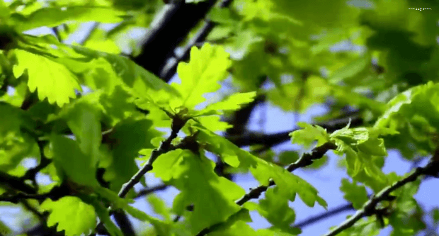 봄이 오면 볼 수 있는 모습 | 인스티즈