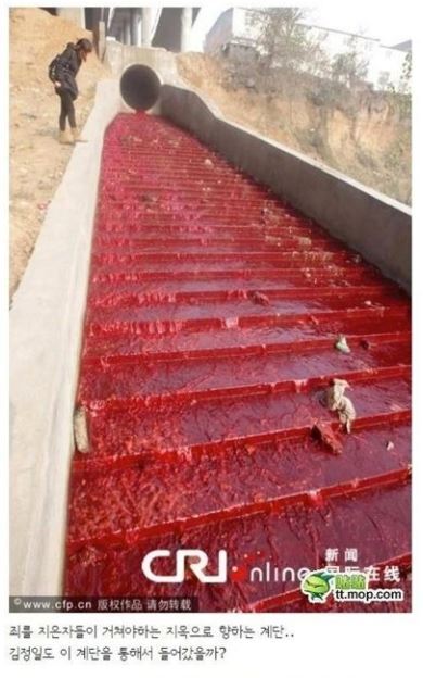 대륙의 강물을 알아보자.jpg | 인스티즈